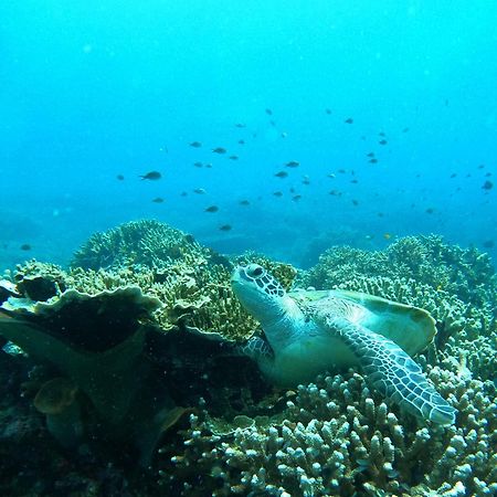 4 Sisters Divers Bunaken Bagian luar foto