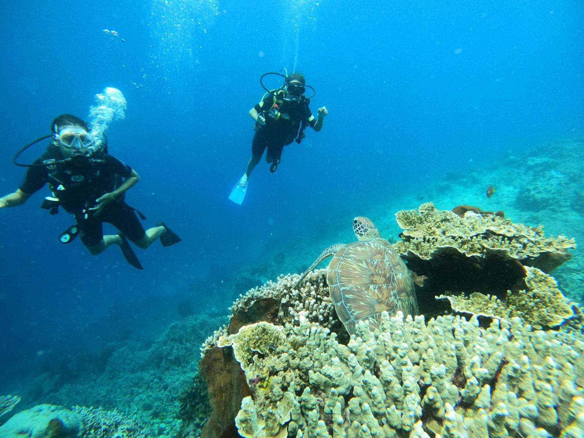 4 Sisters Divers Bunaken Bagian luar foto