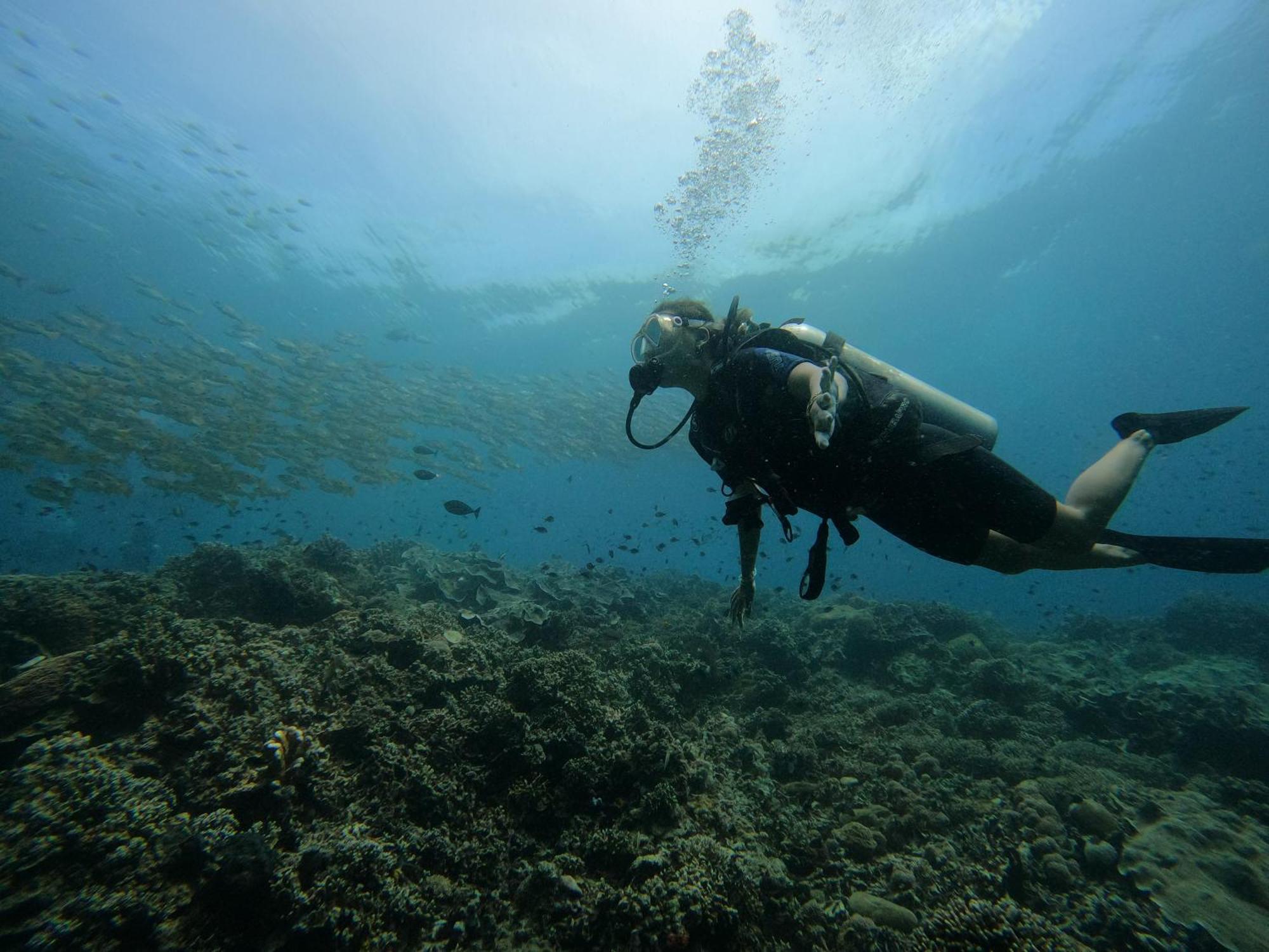 4 Sisters Divers Bunaken Bagian luar foto