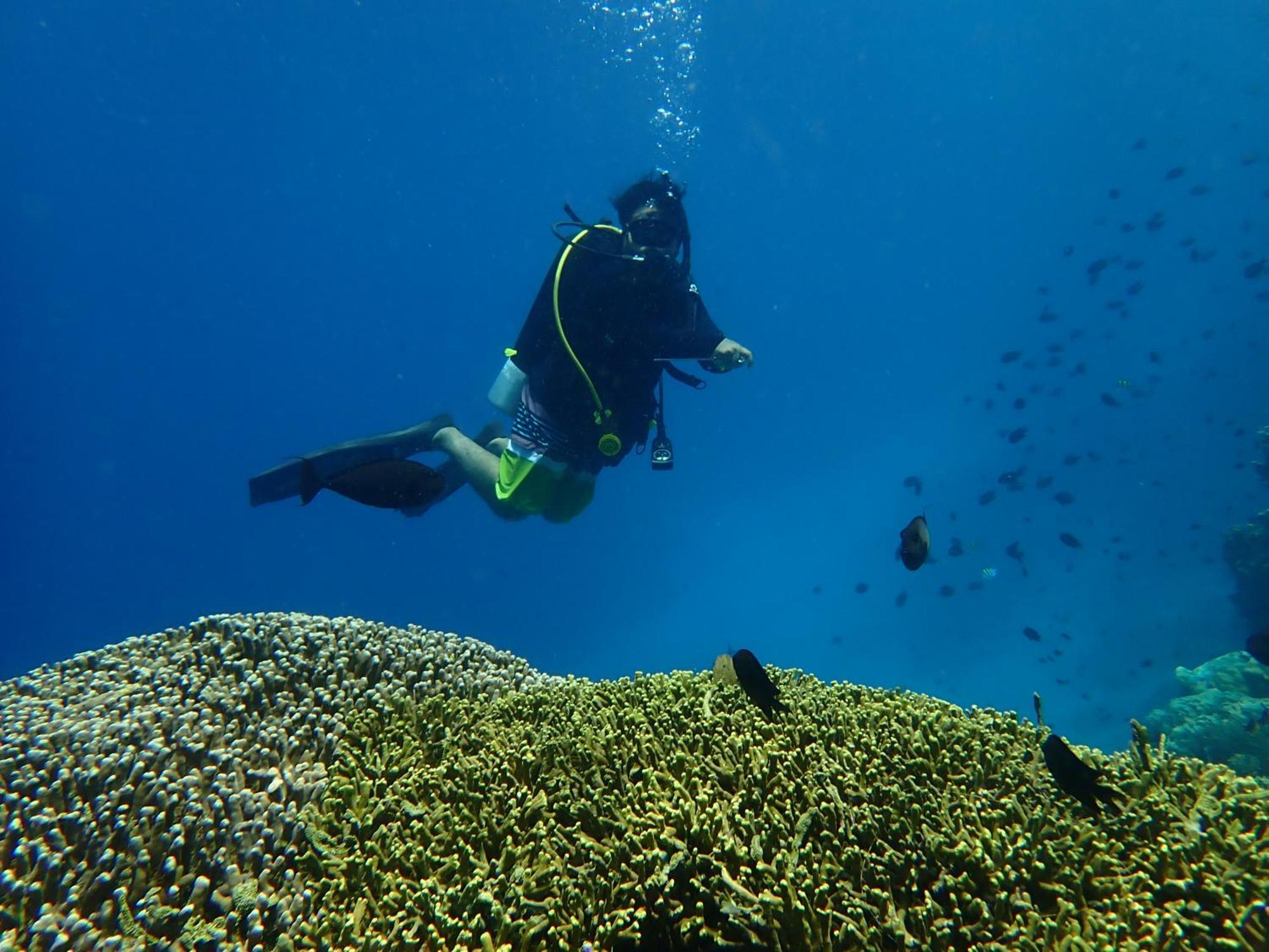 4 Sisters Divers Bunaken Bagian luar foto
